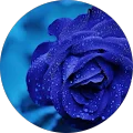 Mukut D. Avatar